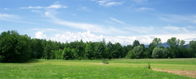 risparmia energia