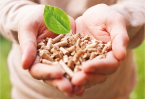 risparmia con il pellet